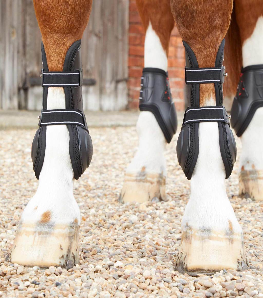 Kevlar Tendon Boots  Altitude Equestrian