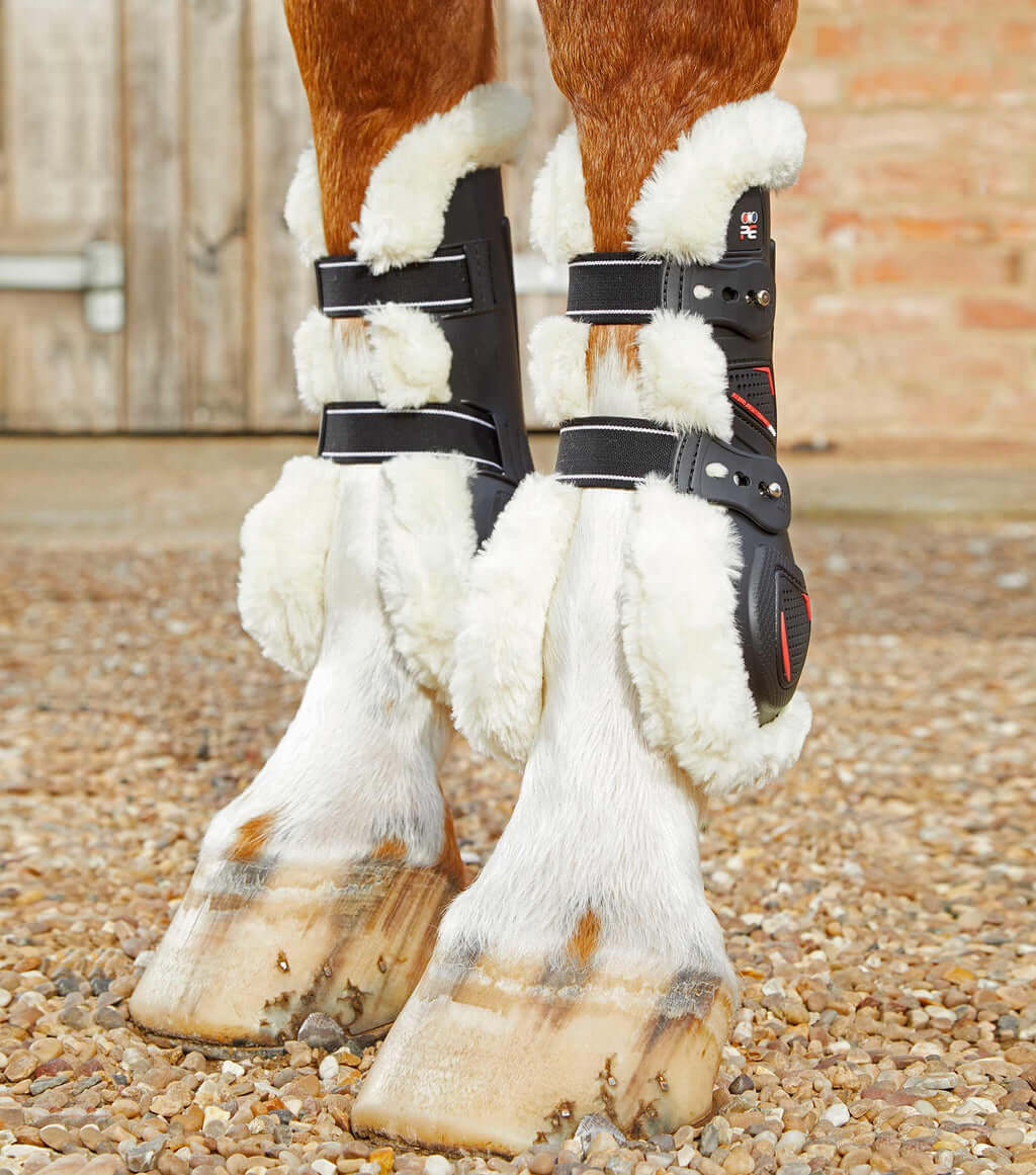 Wool Tendon Boots  Altitude Equestrian